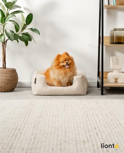 lionto Hundekörbchen mit flauschigem Wendekissen, kuscheliges Heimtierbett in meliertem Design mit tiefem Einstieg für Hunde & Katzen Aller Größen, 60x50 cm, weiches Hundebett, beige