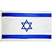 3 ft. x 5 ft. Nyl-Glo Israel Flag