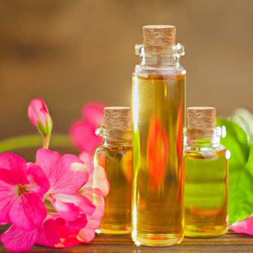 60 Pack Natural Soft Wood Corks, Tapered Cork Wooden Beer Bottle Stopper For Wine Making Craft, Leakproof #TOP6