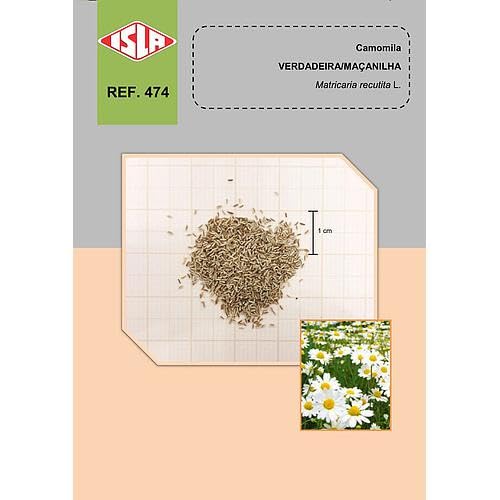 Kit de Sementes de Camomila e Erva-doce Medicinais Aromáticas, Chá Medicinal,