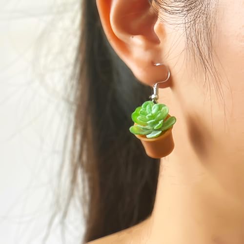 Unique Hanging Plant Earrings - Flower Pot & Cactus Designs - Women's Gifts2