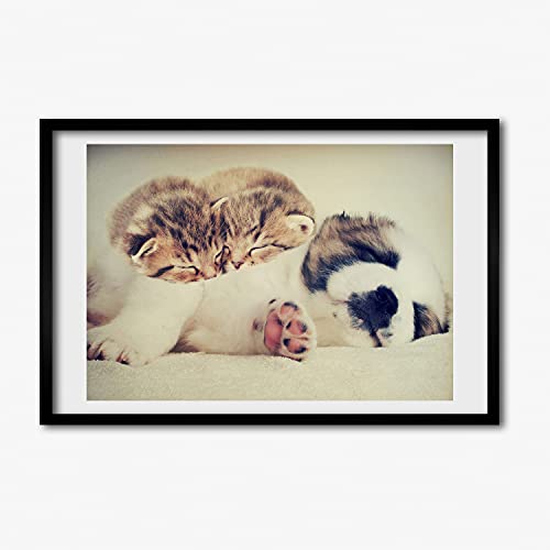 Cadre photo MDF 60x40 cm avec affiche de deux chats et un chien pour décoration murale