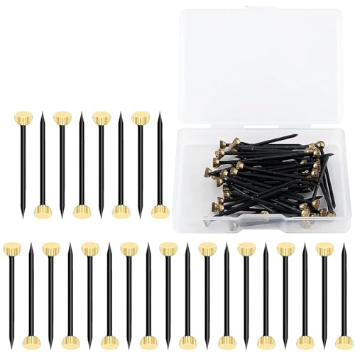 YANAJIAJIA 60PCS Nails for Hanging Pictures with Brass Head Premium Picture Hanging Nails & Wall Pins Heavy Duty Picture Nails with Plastic Storage Box for Photo Frames Drywall and Wood
