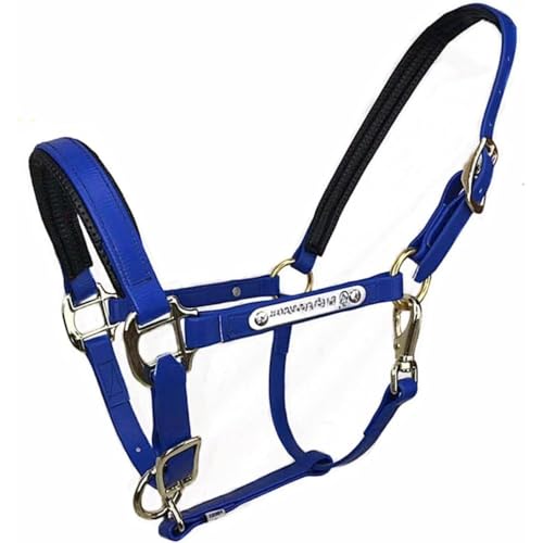 Sailozai n̎jAnpiAnp[vA|j[ ƌ`̃|j[p̃wbhMAANZT[B (u[,)