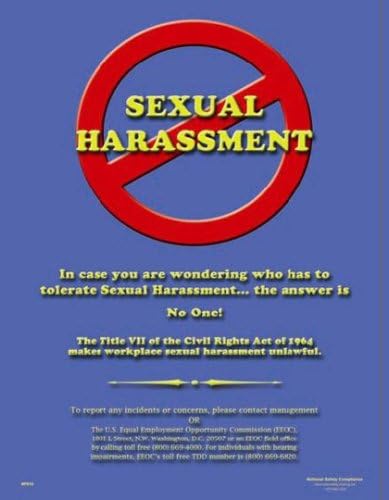 Do Not Commit Sexual Harassment Poster (18 x 24 inch)