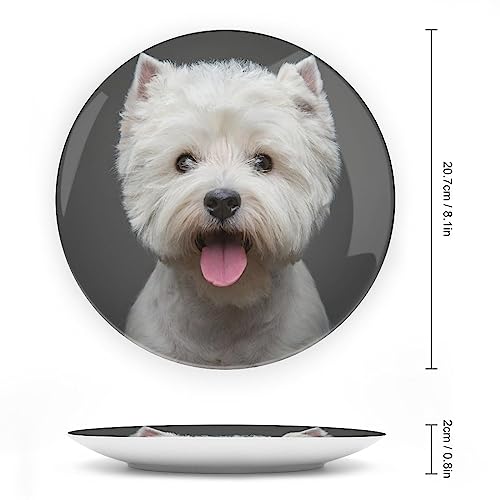 Platos de porcelana china de perro terrier con soporte de pared elegante 2