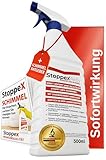 Profi Schimmelentferner für Wand, Bad & Silikonfugen – Extra starkes, chlorhaltiges Anti-Schimmel Spray mit Stoppex Aktiv-Formel | Schimmelspray gegen Schimmel & Stockflecken