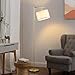 EDISHINE LED Floor Lamp, 63 EDISHINE LED Floor Lamp, 63