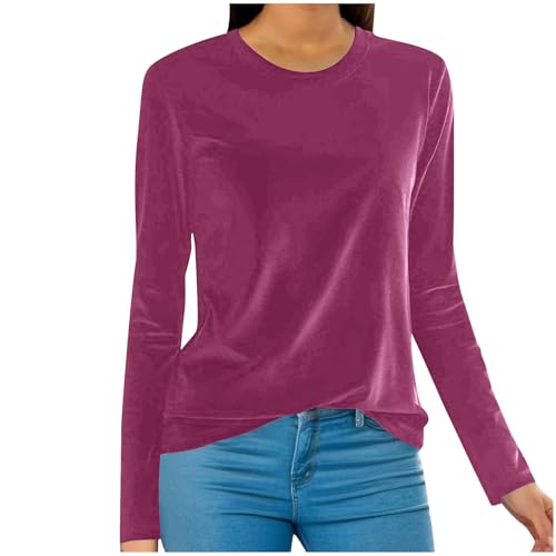 DASAYO Velvet Tops for Women Crewneck Long Sleeve Velour Shirt Ladies Dressy Casaul Blouses Fall Fashion