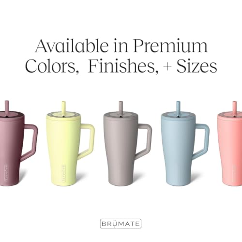 Image of BruMate Era 40 oz Tumbler with Handle & Straw | 100% Leakproof Insulated Water Bottle Tumbler with Lid & Flexible Straw | Made of Stainless Steel | Cup Holder Friendly | 40oz (Wildflower Whisper)