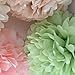 Fonder Mols Fluffy Tissue Pom Poms Paper Flowers Kit Party Hanging Flowers Ball for Wedding Birthday Bridal Baby Showers Nursery Decor(Set of 12,Blush Pink Green Ivory)