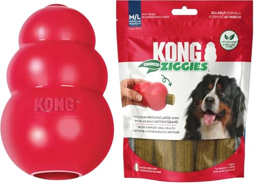KONG Classic Toy & Enhanced Ziggies Treats Combo Pack - Durable Chew Toy for Dogs - with Enhanced Ziggies Treats - Dog Accessories for Fun & Health - for Medium Dogs