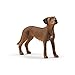 Produktbild SCHLEICH 13895 Rhodesian Ridgeback, für Kinder ab 3+ Jahren, Farm World - Spielfigur