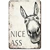 Donkey