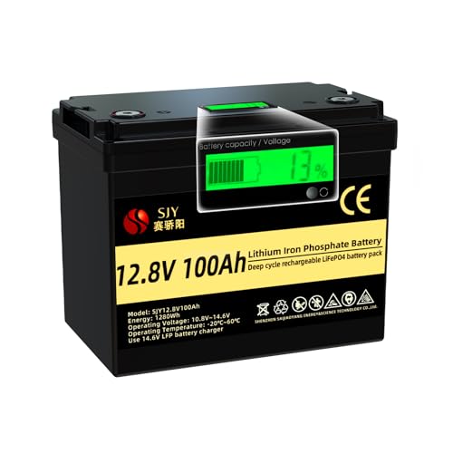 SaiJiaoYang Batería LifePO4 de 12V 100Ah, Batería de Litio con 100A BMS 10000 Batería LiFePO4 de Ciclo Profundo con...