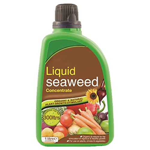 Liquid Seaweed Concentrated for Pest Free Environment Organic & Natural Growth Stimulants for Plant Food Shrubs Vegetables 1 Liter