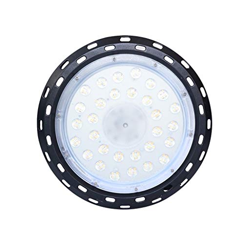 ZJX-F High Light Waterproof Plant Light Plant Growth Light Source Projection Fill Greenhouse Plant Flood Light 100w (Size : 100W)