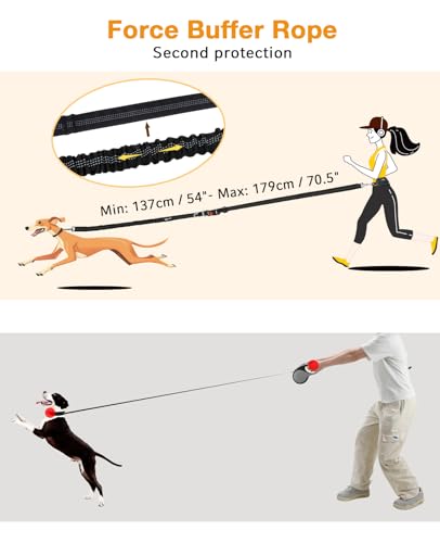 Pecute Joggingleine Hunde mit Bauchgurt, Laufgürtel Hundeleine für Große und Mittelgroße Hundes, Leine Hund mit Gürteltasche, Elastische Laufleine, Dog Leash Hand Free