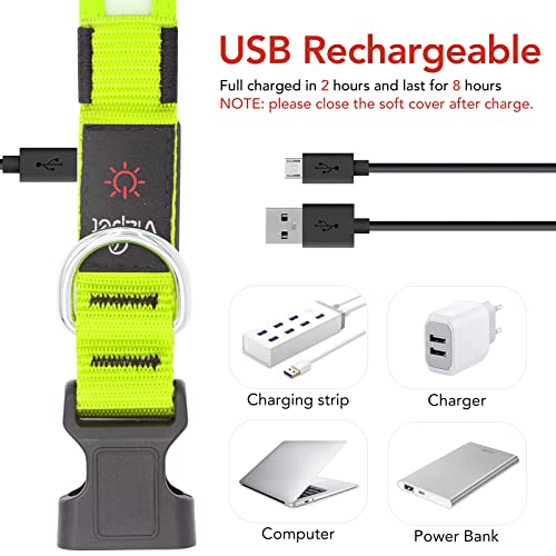 Vizpet Led Dog Collar, Light Up Dog Collar Adjustable Usb Rechargeable Super Bright Safety Light Glowing Collars For Dog(Small,Green) #TOP2