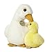 Aurora World Miyoni Mother Duck and Duckling Plush, 12