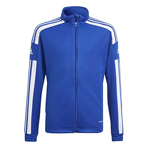 adidas Mixte enfant Squadra 21 Training Jacket, Royal Blue/White, 15-16 Years