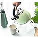 ROCKURWOK Tea Kettle, Stovetop Whistling Kettle, Stainless Steel, 2.63-Quart, Mint Fizzy Green