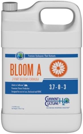 Bloom A Quart (12/Cs)