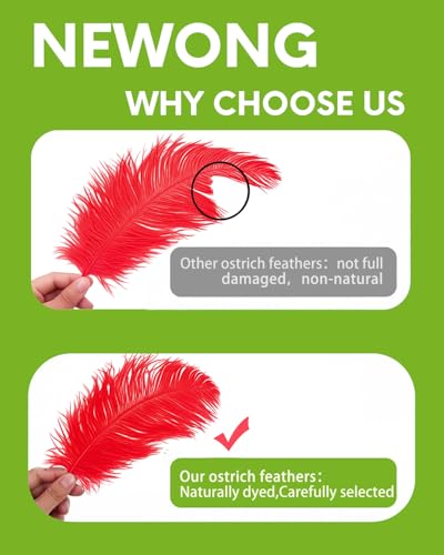 image for NEWONG 30pcs Red Ostrich Feathers Natural Bulk 11-14inch(28-35cm) Vase