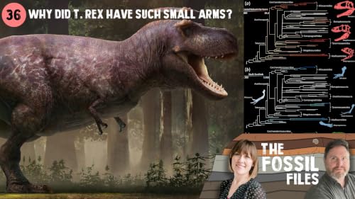 Why did T. rex have such small arms? Revealed