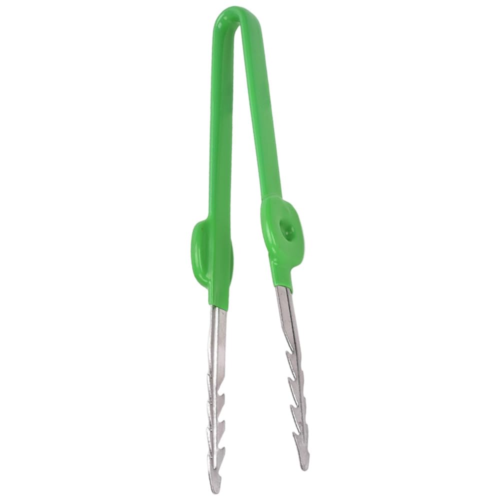 Pince de jardin 18,7 cm Pince à plantes précise pour le jardinage, l'entretien des plantes succulentes et bonsaï Outil multifonction pour enlever les mauvaises herbes et la manipulation des