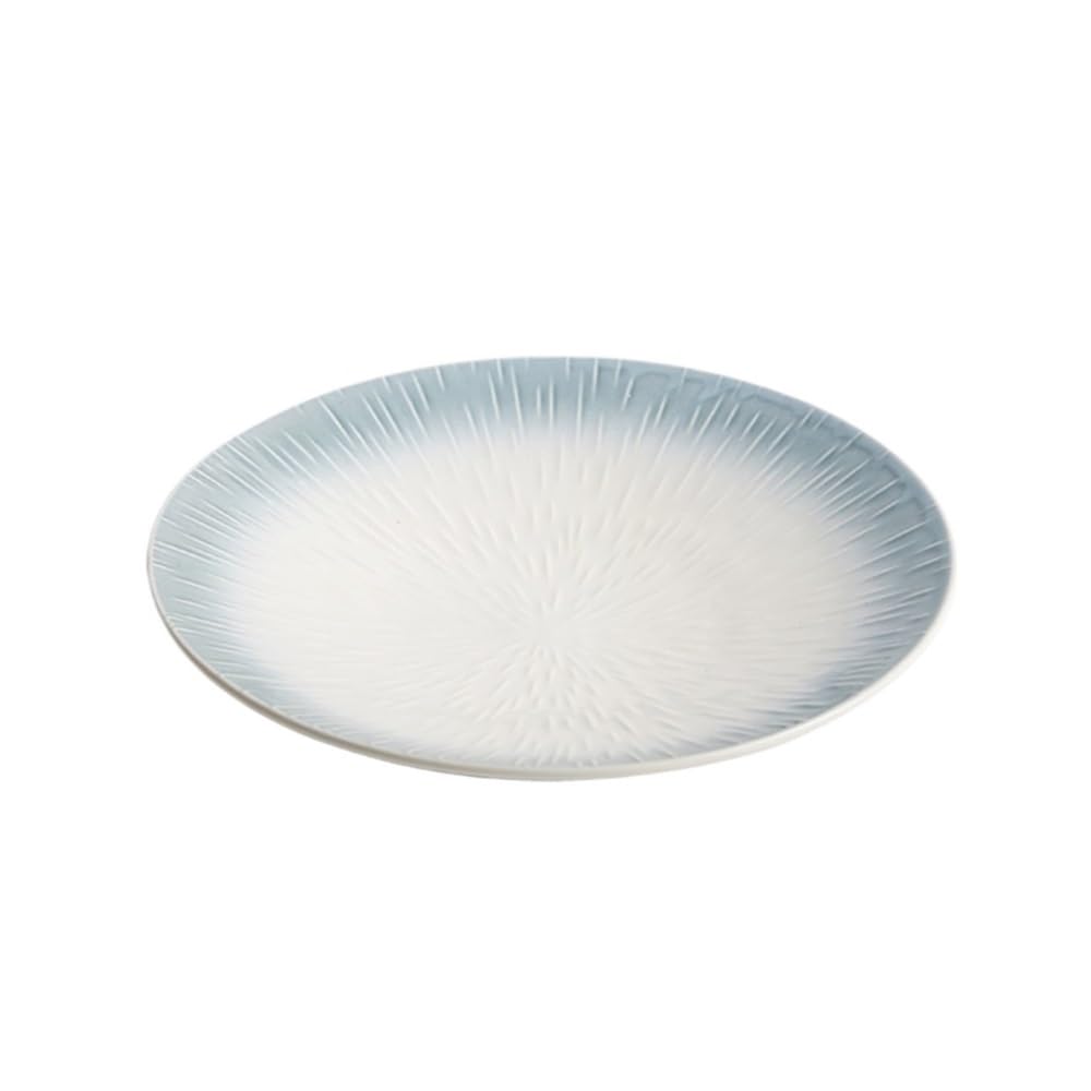 Ceramiczne talerze obiadowe, okrągłe, płaskie talerze na warzywa do użytku domowego, 25 cm, zachodnie talerze do serwowania żywności, zestaw 4 sztuk, trwała i stylowa zastawa stołowa