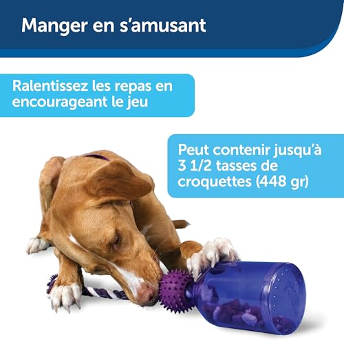PetSafe Busy Buddy Tug-a-Jug Hundespielzeug, Snackspender mit Seil, Beschäftigung und Gewichtskontrolle, Größe S