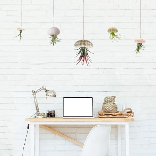 5 Pack Mini Sea Urchin Shell Air Plant Holders- 5 Styles Decorative Hanging Air Plant Pot, Tillandsia Succulent Display Container for Home Gardening Gifts Garden Beach Theme Party Decors, No Plants