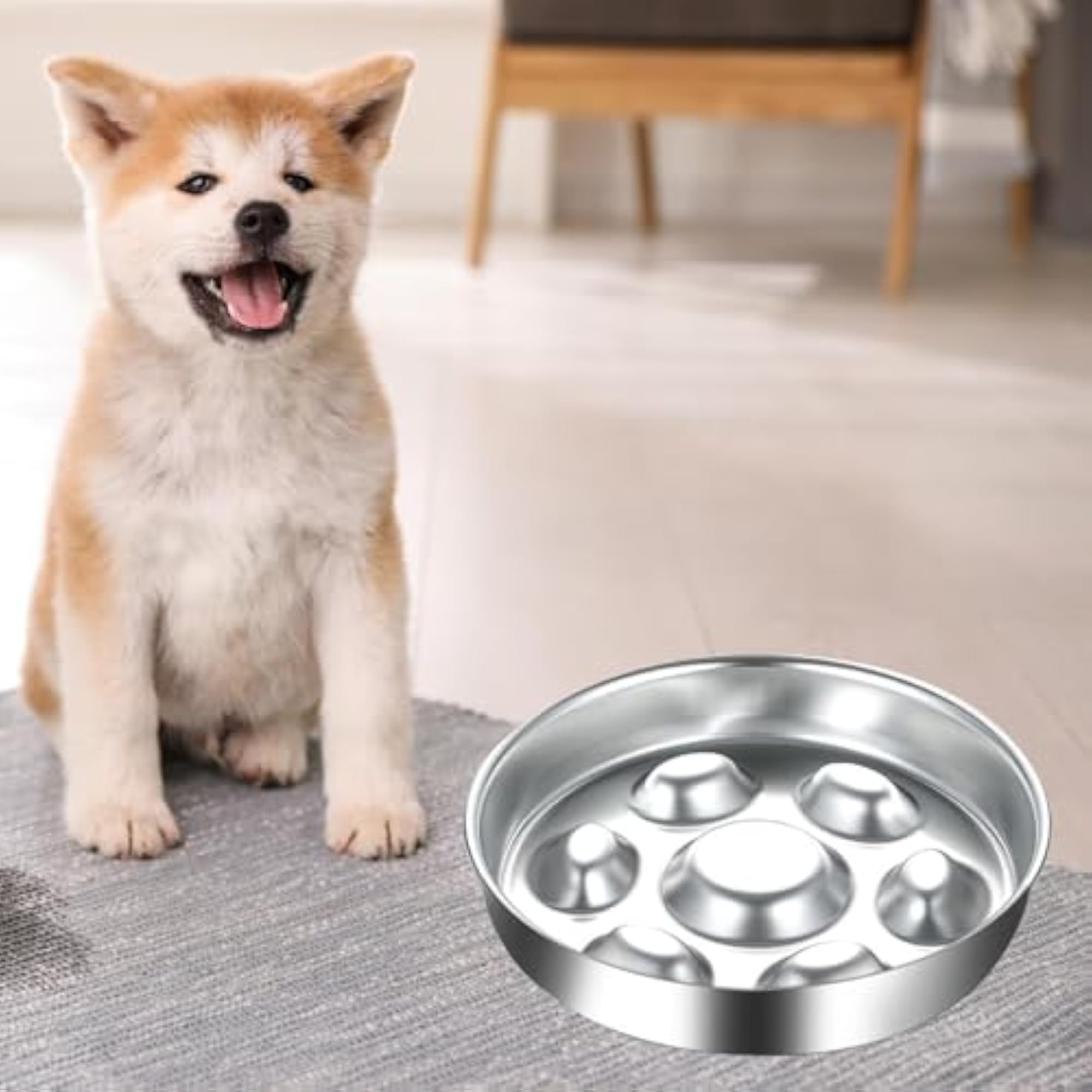 Slow Feeder Dog Bowl, Anti-Overeating Design