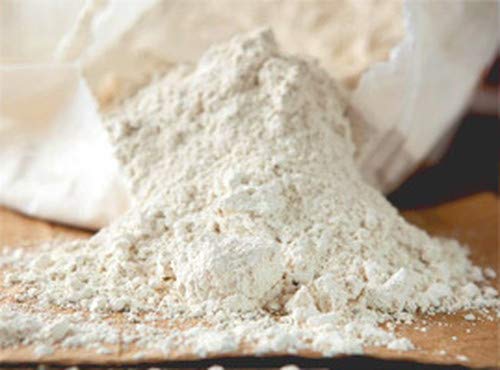 Amazon.co.jp: 食べるケイソウ土ナチュリカ120g : DIY・工具・ガーデン