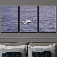 3 Piece Framed Canvas Wall Art Beach Birds Canvas Prints Home Artwork Decoration for Living Room,Bedroom - 16