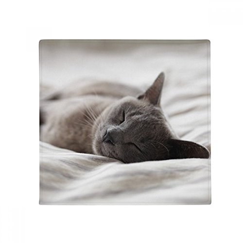Tapis de chat gris antidérapant 60x60cm pour sol et salon cuisine
