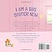 I Am A Big Sister Now: A Warm Children's Picture Book About Sibling's Emotions and Feelings (Jealousy, Anger, Children Emotional Management Illustration Book)