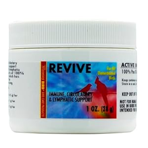 Morning Bird Revive, 1 oz