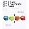 Outward-Hound-Squeaker-Ballz-Tennis-Ballz-Tennis-Max-Balls-Tennis-Maze-Craze-Squeaking-and-Fetching-Tennis-Ball-Dog-Toys Squeaky Fun Fetch Toy