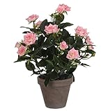 Der Rosenstrauch besteht sowohl aus Blüten als auch aus Knospen. Die Blätter haben auch verschiedene Größen und Grüntöne. Täuschend echt!