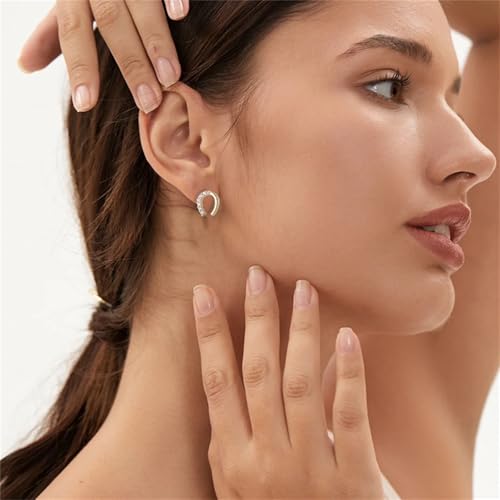 925 Silver Horseshoe Horse Stud Earrings for Women Unique Lightweight Cubic Zirconia Lucky Horseshoe Stud Earrings Animal Western Earrings2
