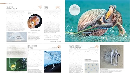 Habitats: Discover Earth's Precious Wild Places - Image 14