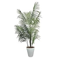 Amazon｜【RAKU】 フェイクグリーン 観覧植物 人工観葉樹 観葉