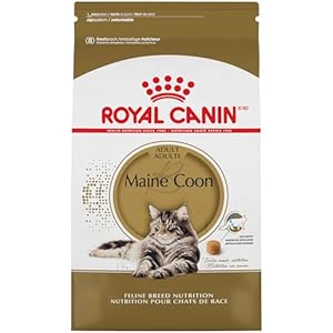 Royal Canin Maine Coon Breed Adult Dry Cat Food, 6 lb bag