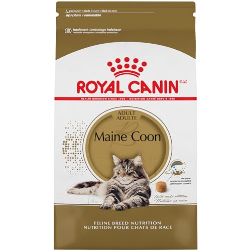 Royal Canin Maine Coon Breed Adult Dry Cat Food, 6 lb bag