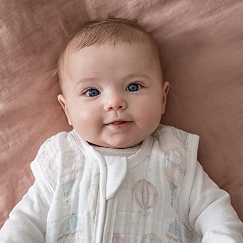 Image of aden + anais Baby Sleeping Bag, Wearable Swaddle Blanket for Girls & Boys, Newborn Sleep Sack, Breathable & Lightweight