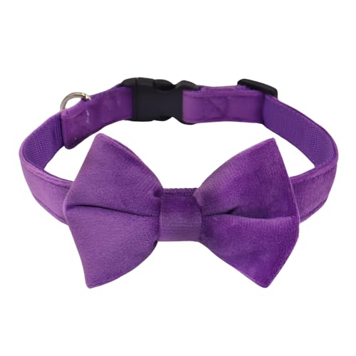 WDPAWS 犬 首輪 犬の首輪 小型、中型、大型犬用首輪 可愛い 蝶結び付き 軽量 外れないタイプ ソフトベルベット製 通気性 柔らかい サイズ調節可能 (パープル, L)