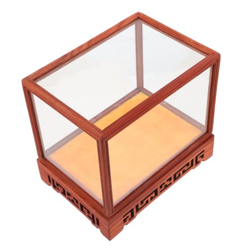 STOBAZA Terrarium Glass Containers Glass Craft Holder Elegant Display Case for Collectibles