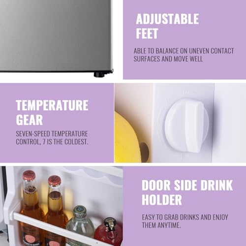 DEMULLER 2.4 Cu.Ft Refrigerator with Freezer Double Door Fridge Removable Plastic Shelves Ideal for Home, Office,Dormitory Silver